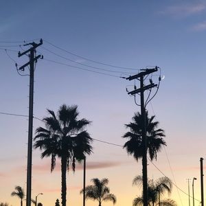 Meet your Posher, Sami